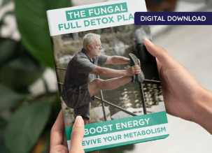 Digital wellness bonus program focused on lifestyle balance and daily health routines